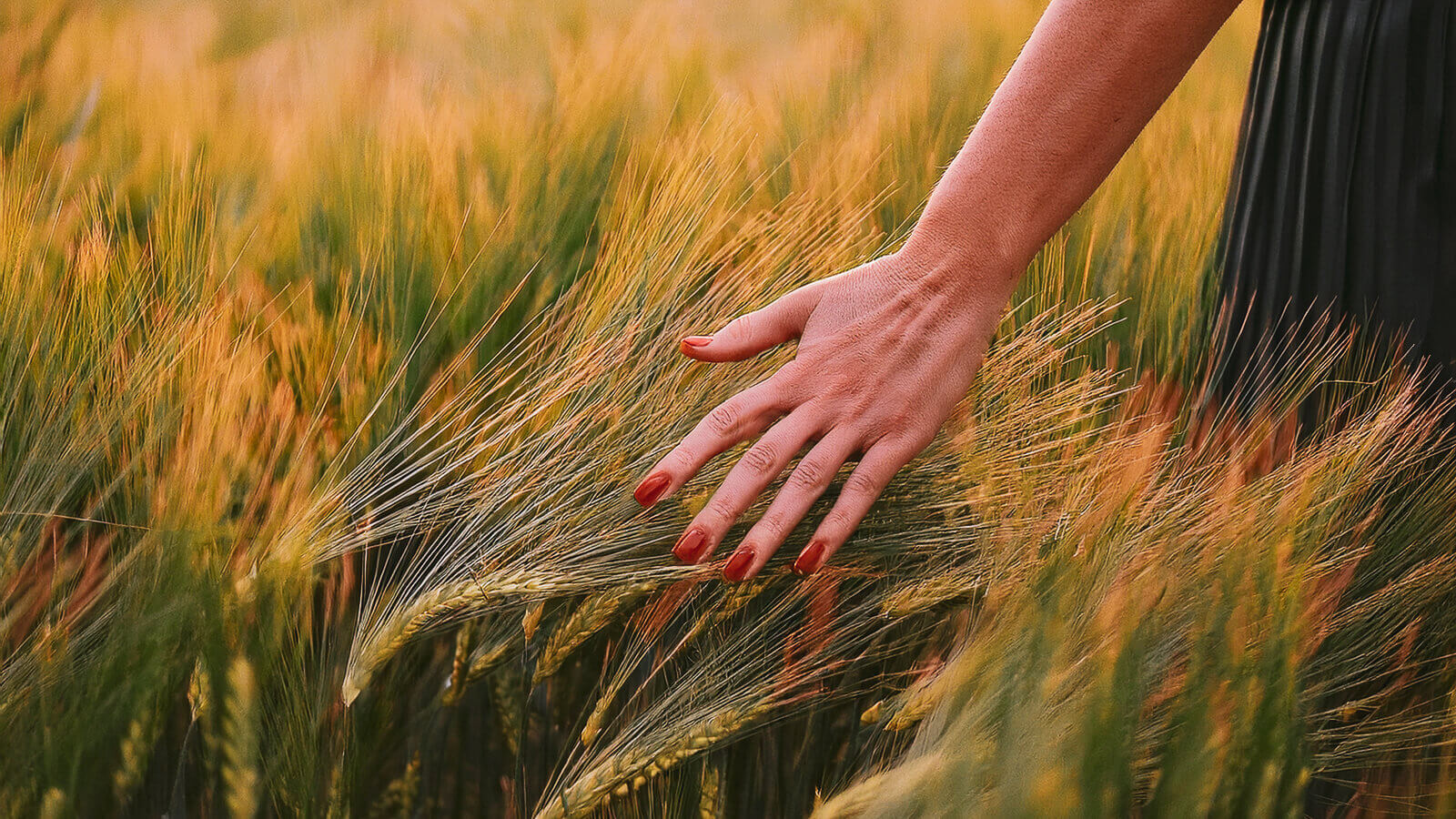 За Бах и още нещо... тук, днес и сега...
