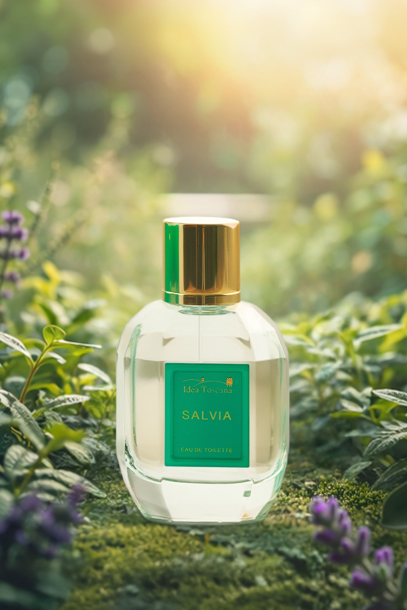 Salvia perfume
