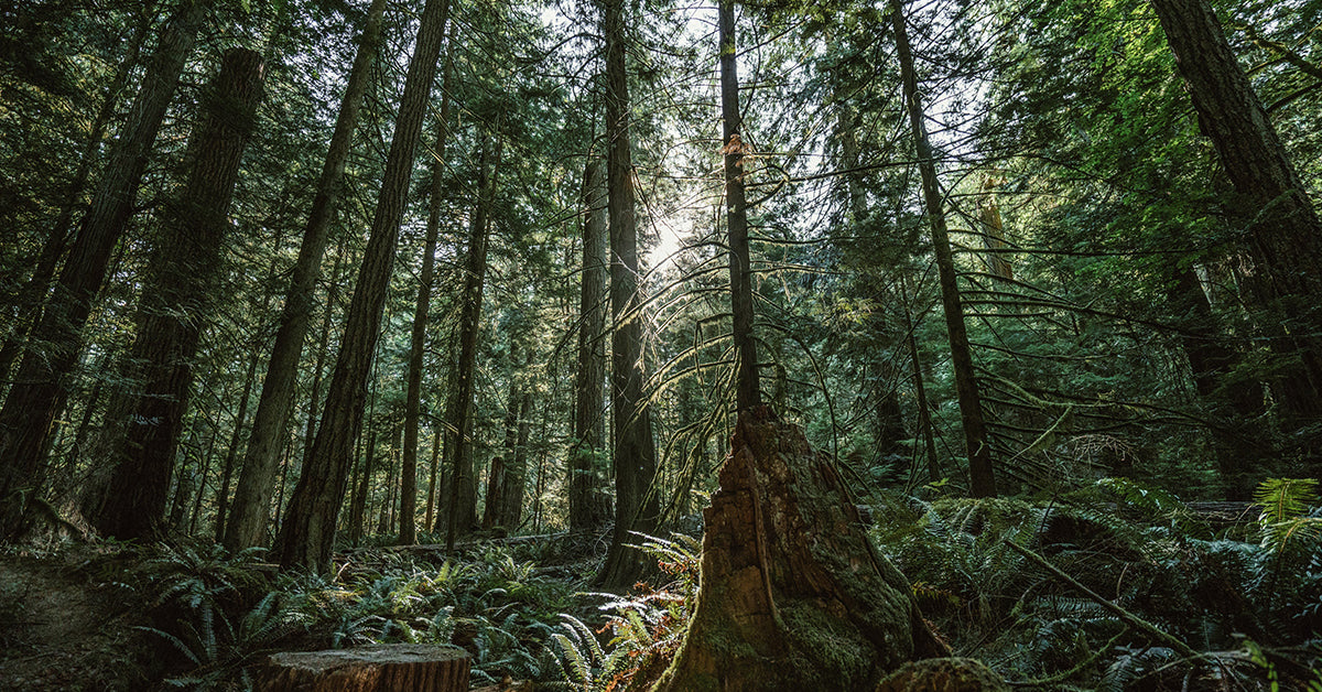 WE LOVE FASHION & WE CARE ABOUT OUR PLANET